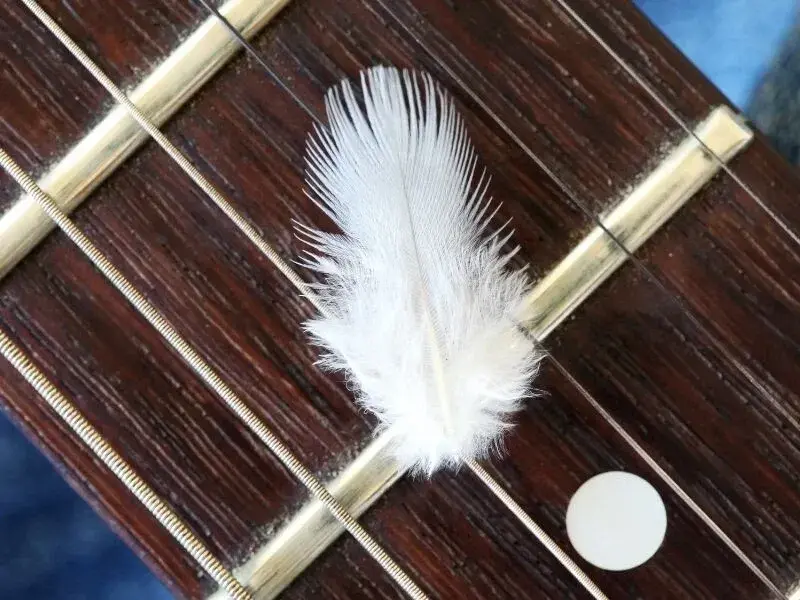 Jak wybrać idealne piórko do gitary? Kompleksowy poradnik dla gitarzystów.